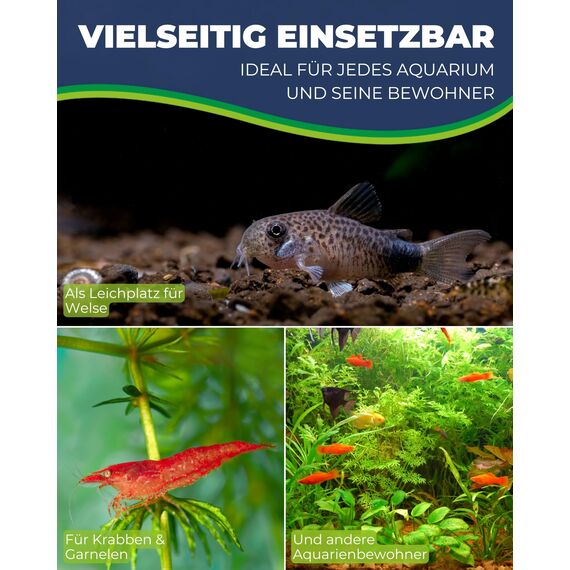 HOBBY Aquaristik Catfish Cave M I 5 x 12 cm I Brut- und Versteckhöhle aus gebranntem Ton für Welse I Aquarium Dekoration I Deko Höhle für Welse, Krebse und Garnelen I natürliches Aquariumzubehör
