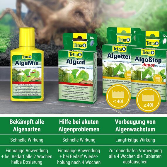 Tetra AlguMin - bekämpft schnell alle Arten von Algen im Aqarium und verhindert effektiv die Neubildung, 250 ml Flasche