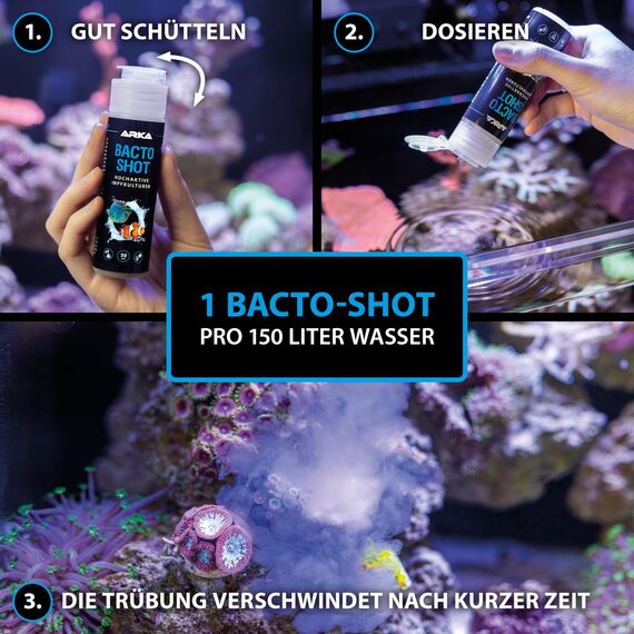 Aquarium Bakterien Shot – lebende Filterbakterien & Reinigungsbakterien für klares Wasser in 24 h – gegen Trübung, Nitrit & schlechte Wasserwerte – für Süß- & Meerwasser – ARKA Bacto-Shot