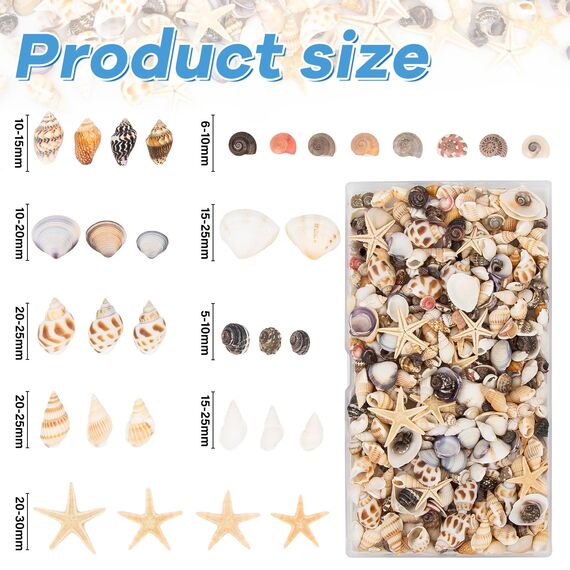 SKOOLOVE 450 Stück Kleine Muscheln und Mini Seesterne, Gemischte Natürliche Muscheln zum Basteln, Strandmalerei, Kerzenherstellung, Aquarien und Vasenfüllung (180g)