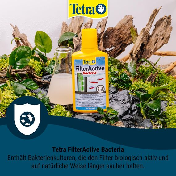 Tetra FilterActive Bacteria - 2in1 Mix aus lebenden Starterbakterien und schlammreduzierenden Reinigungsbakterien, hält den Filter biologisch aktiv und reduziert Mulm, 100 ml