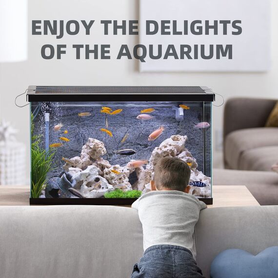 RUNBO 6 in 1 Aquarium-Teststreifen, 150 Stück, Aquarium-Test-Set für Süßwasser, Fischteich, genaue Prüfung der Gesamthärte, Karbonat-Nitrat, Nitrit, Cl2, pH
