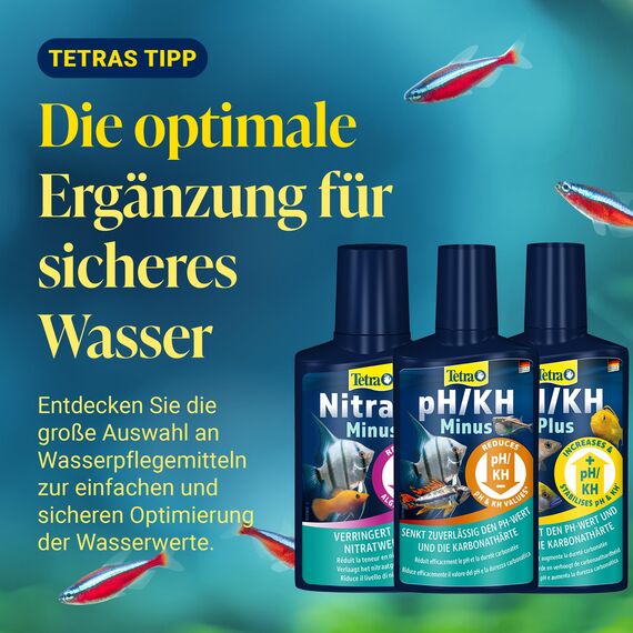 Tetra Test 7in1 - Wassertest für das Aquarium, schnelle und einfache Überprüfung der Wasserqualität, 1 Dose (50 Teststreifen)