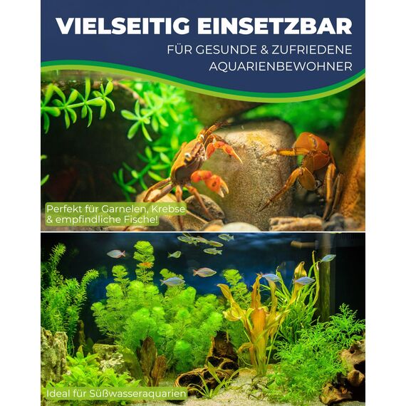 HOBBY Aquaristik Alder Cones I 50 Stück I Schwarzerlenzapfen für Aquarien I Erlenzapfen zur Senkung und Stabilisierung des pH-Wertes I Schutz vor Bakterien und Pilzen I ideal für Süßwasseraquarien