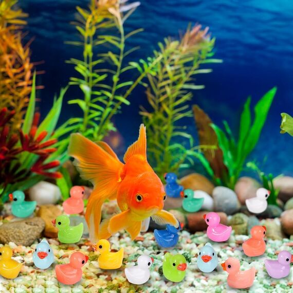 DIYDEC 200 Stück Mini Enten Harz, 10 Farben Mini Duck Figuren Miniatur Enten kleine Bunte Enten für Dekoration von Miniatur-Landschaftsgärten, Bonsai, Fischbecken und Aquarien verwendet.
