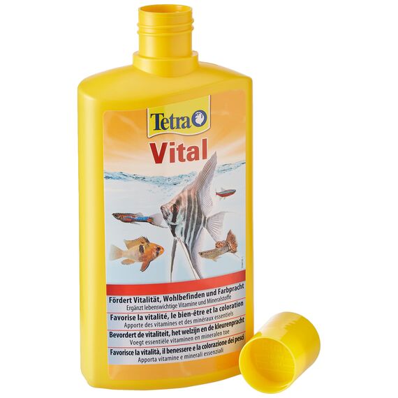 Tetra Vital - fördert Vitalität, Wohlbefinden und Farbpracht bei Fischen, ergänzt lebenswichtige Vitamine und Mineralstoffe, 500 ml Flasche (Packung mit 2)