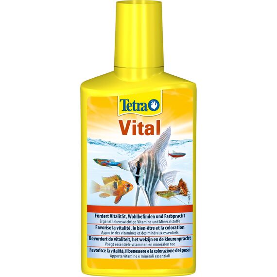 Tetra Vital - fördert Vitalität, Wohlbefinden und Farbpracht bei Fischen, ergänzt lebenswichtige Vitamine und Mineralstoffe, 250 ml Flasche