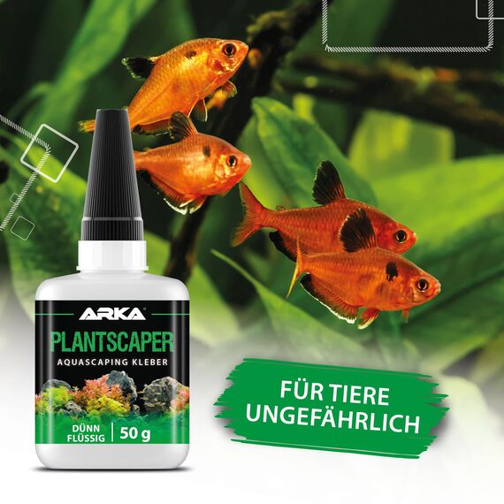Ultra flüssiger Pflanzenkleber 50 g – für Mikrorisse, feinste Spalten, Moose & Wurzelnetze im Aquarium – extrem kapillaraktiv, schnell haftend und ideal für Aquascaping – ARKA Plantscaper