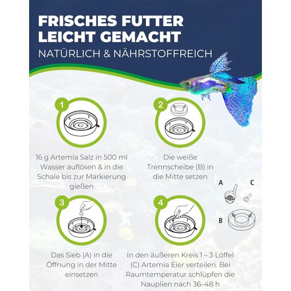 HOBBY Aquaristik Artemia Aufzuchtschale I Mit Sieb, Trennschale und Dosierlöffel I Einfache und flexible Nutzung I Kein Belüfter nötig I Ideal für Anfänger und Profis
