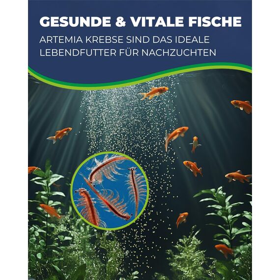 HOBBY Aquaristik Artemia Aufzuchtschale I Mit Sieb, Trennschale und Dosierlöffel I Einfache und flexible Nutzung I Kein Belüfter nötig I Ideal für Anfänger und Profis
