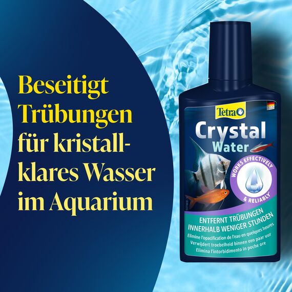 Tetra CrystalWater - Wasserklärer gegen Trübungen für kristallklares Wasser im Aquarium, bindet Schwebepartikel, 100 ml Flasche