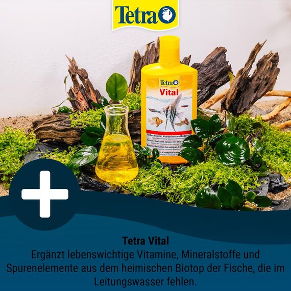 Tetra Vital - fördert Vitalität, Wohlbefinden und Farbpracht bei Fischen, ergänzt lebenswichtige Vitamine und Mineralstoffe, 250 ml Flasche
