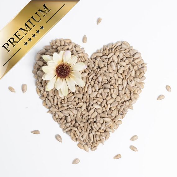 Lyra Pet® | 25 kg Sonnenblumenkerne Geschält | Wildvogelfutter Ganzjährig | Ideal für Jungtiere | Vogelfutter für Wildvögel | Wertvolles Streufutter | Energiespender ohne Schale | Sommer und Winter