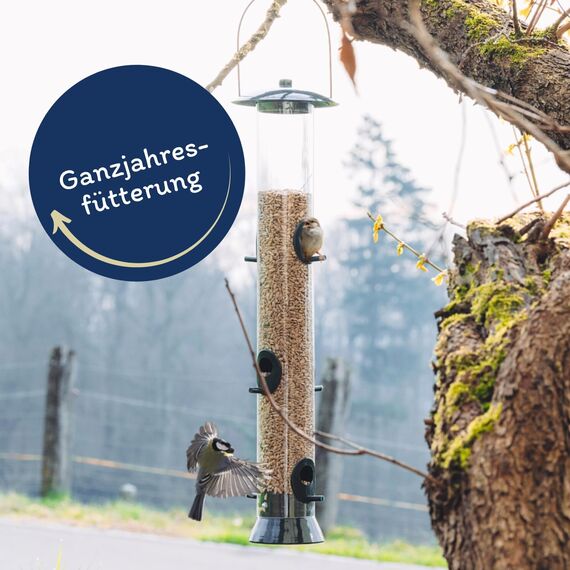 Lyra Pet® | 25 kg Sonnenblumenkerne Geschält | Wildvogelfutter Ganzjährig | Ideal für Jungtiere | Vogelfutter für Wildvögel | Wertvolles Streufutter | Energiespender ohne Schale | Sommer und Winter