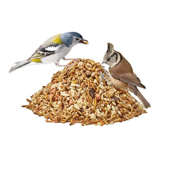 Paul´s Mühle Premium Ganzjahresfutter für Wildvögel mit extra hohem Fettanteil, Vogelfutter zur Ganzjahresfütterung, Senkrechtstarter, 2,5 kg