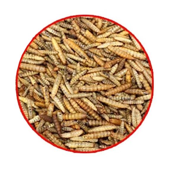 Ambiopet Soldatenfliegenlarven (Hermetia) getrocknet im Beutel, Black Soldier Fly, Protein- und fettreiches Wildvogelfutter, reich an Calcium und Laurinsäure (15kg)