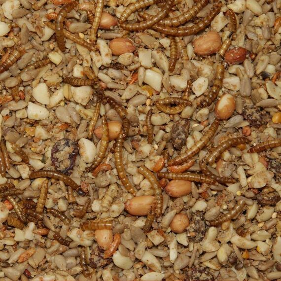 Paul´s Mühle Premium Ganzjahresfutter für Wildvögel mit extra hohem Fettanteil, Vogelfutter zur Ganzjahresfütterung, Senkrechtstarter, 2,5 kg