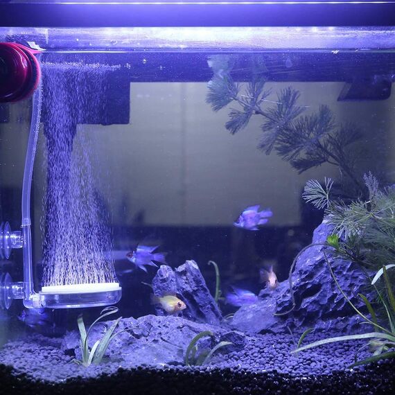boxtech Luftstein Nano Bubble Stone Kit mit Steuerventil - Leise Super-High Diffusor für gelösten Sauerstoff - Lässt Super Tiny Bubbles für Aquarium und Hydroponic (60mm)