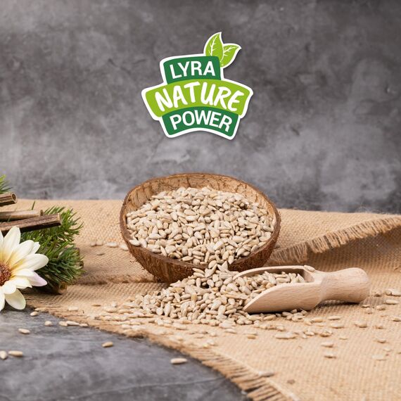 Lyra Pet® | 25 kg Sonnenblumenkerne Geschält | Wildvogelfutter Ganzjährig | Ideal für Jungtiere | Vogelfutter für Wildvögel | Wertvolles Streufutter | Energiespender ohne Schale | Sommer und Winter
