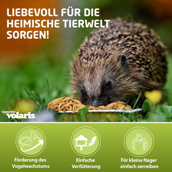Eggersmann volaris Mehlwürmer getrocknet 5kg – Wildvogelfutter proteinreich & natürlich – Getrocknete Mehlwürmer ideal für Wildvögel, Hühner & andere Heimtiere – Vogelfutter frei von Pestiziden