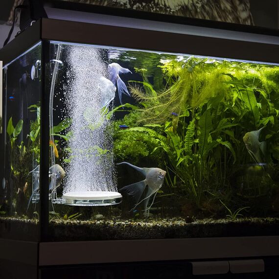 boxtech Aquarium Nano Bubble Stone Kit mit Steuerventil, Leise Super-High CO2 Diffusor für gelösten Sauerstoff, Lässt Super Tiny Bubbles für Aquarium und Hydroponic (100mm)