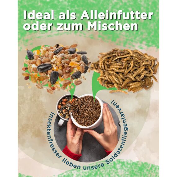 Futterbauer 10kg Soldatenfliegenlarven getrocknet, Premium Vogelfutter, Fischfutter, Futter für Reptilien und Nager, Proteinreiches Naturfutter wie Mehlwürmer