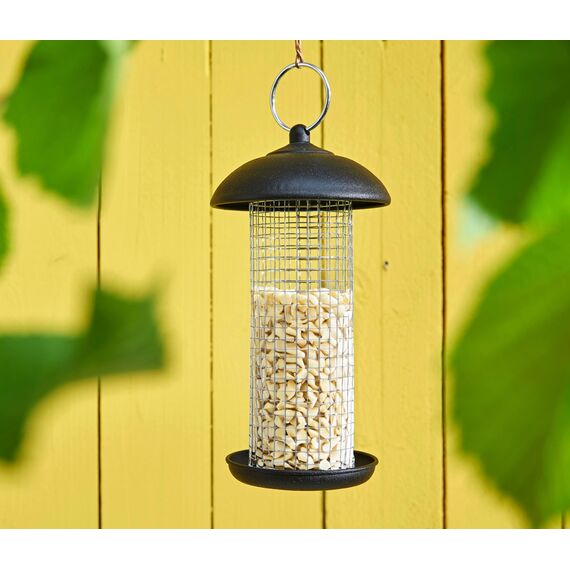 Dehner Natura Premium Wildvogelfutter, gehackte Erdnüsse schalenfrei, Ganzjahresfutter proteinreich / energiereich, hochwertiges Vogelfutter für Wildvögel, 10 kg