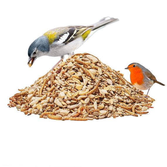 Paul´s Mühle Wildvogelfutter, Vogelfutter ideal für Brutzeit und Aufzucht, Phönix, 5 kg