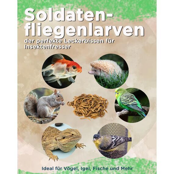 Futterbauer 5kg Soldatenfliegenlarven getrocknet, Premium Vogelfutter, Fischfutter, Futter für Reptilien und Nager, Proteinreiches Naturfutter wie Mehlwürmer