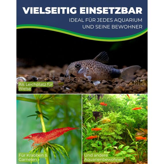 HOBBY Aquaristik Catfish Cave L I 7 x 16 cm I Brut- und Versteckhöhle aus gebranntem Ton für Welse I Aquarium Dekoration I Deko Höhle für Welse, Krebse und Garnelen I natürliches Aquariumzubehör