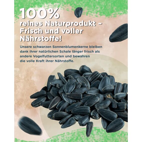 Futterbauer 25 kg Schwarze Sonnenblumenkerne im Papiersack für Vögel, 100% Natur, Hochwertige Energiequelle für Wildvögel, Hoher Fett- & Vitamin-E-Gehalt, Gereinigt & Getrocknet mit Schale, Ernte 2025