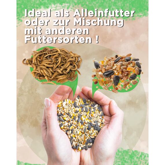Futterbauer 25 kg Schwarze Sonnenblumenkerne im Papiersack für Vögel, 100% Natur, Hochwertige Energiequelle für Wildvögel, Hoher Fett- & Vitamin-E-Gehalt, Gereinigt & Getrocknet mit Schale, Ernte 2025