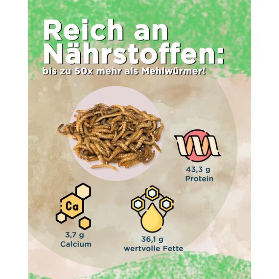 Futterbauer 5kg Soldatenfliegenlarven getrocknet, Premium Vogelfutter, Fischfutter, Futter für Reptilien und Nager, Proteinreiches Naturfutter wie Mehlwürmer