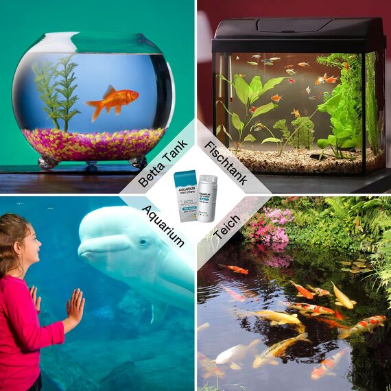 6 in 1 Aquarium Teststreifen, 100 Streifen Aquarium Test Kit zum Testen von PH Nitrit Nitrat Chlor Allgemein Karbonathärte, genaue Salzwasser, Süßwasser Aquarium Wasserprüfung