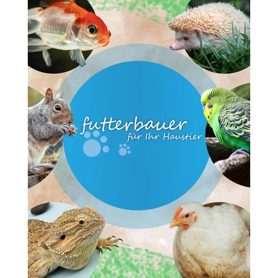 Futterbauer 10kg Soldatenfliegenlarven getrocknet, Premium Vogelfutter, Fischfutter, Futter für Reptilien und Nager, Proteinreiches Naturfutter wie Mehlwürmer