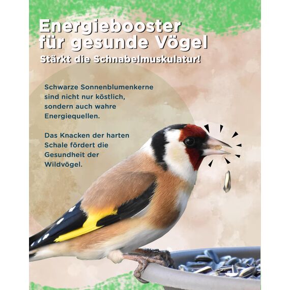 Futterbauer 25 kg Schwarze Sonnenblumenkerne im Papiersack für Vögel, 100% Natur, Hochwertige Energiequelle für Wildvögel, Hoher Fett- & Vitamin-E-Gehalt, Gereinigt & Getrocknet mit Schale, Ernte 2025