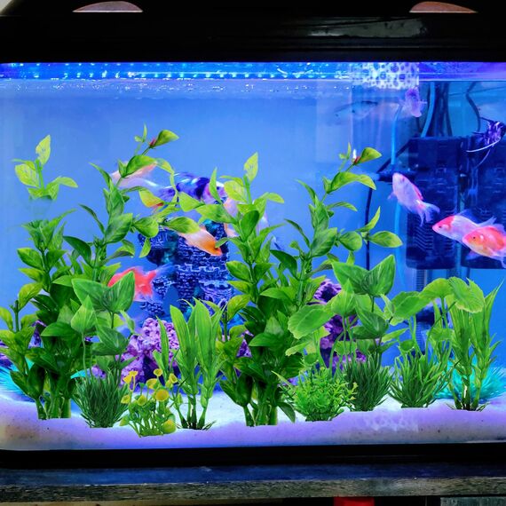 QUOZUO Aquarium Dekoration künstliche Pflanzen, 10 Stück Grün Aquarium Zubehoer Kunststoffpflanze Deko fur Aquarium, plastikpflanzen Aquariumdekor