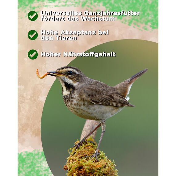 Futterbauer 5kg Soldatenfliegenlarven getrocknet, Premium Vogelfutter, Fischfutter, Futter für Reptilien und Nager, Proteinreiches Naturfutter wie Mehlwürmer