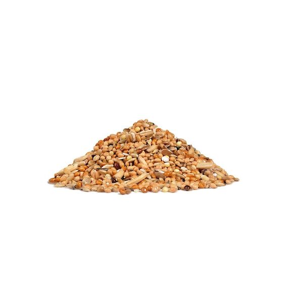RIO Mauserfutter für Wellensittiche | 500 g | Alleinfuttermittel für Wellensittiche in Mauser | Speziell auf die Bedürfnisse während der Mauser abgestimmt