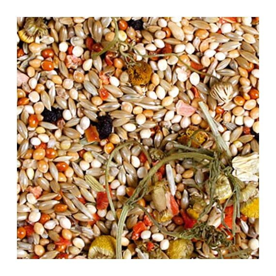 JR FARM Birds Individual Wellensittich 1 kg