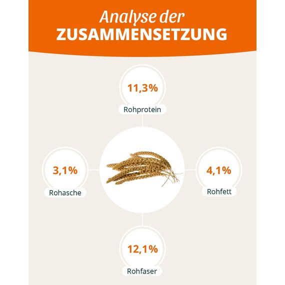 petifool Kolbenhirse gelb 500g - Einzelfuttermittel für alle Ziervögel - Vogelfutter - 100% Natur (Packung mit 2)