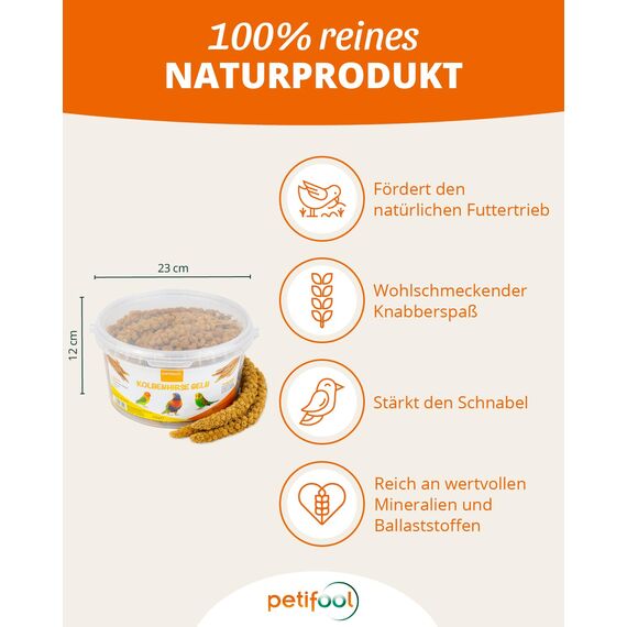 petifool Kolbenhirse gelb 500g - Einzelfuttermittel für alle Ziervögel - Vogelfutter - 100% Natur (Packung mit 2)