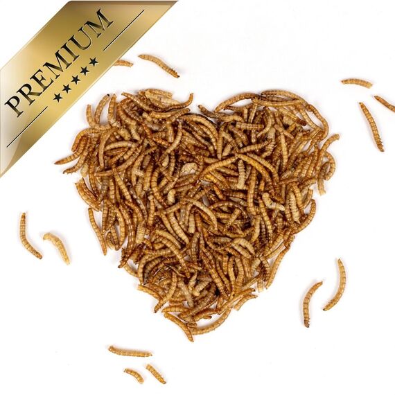 Lyra Pet® | 10 kg Mehlwürmer getrocknet | Proteinreiches Vogelfutter | Für Wildvögel, Nager, Reptilien & Fische | Nahrhaftes Futter | Energiespender für Insektenfresser | Vitamine & Mineralstoffe