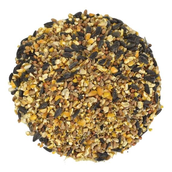 KLASEBO Streufutter 10 kg, Vogelfutter Wildvogelfutter 4 Jahreszeiten Premium Mischung