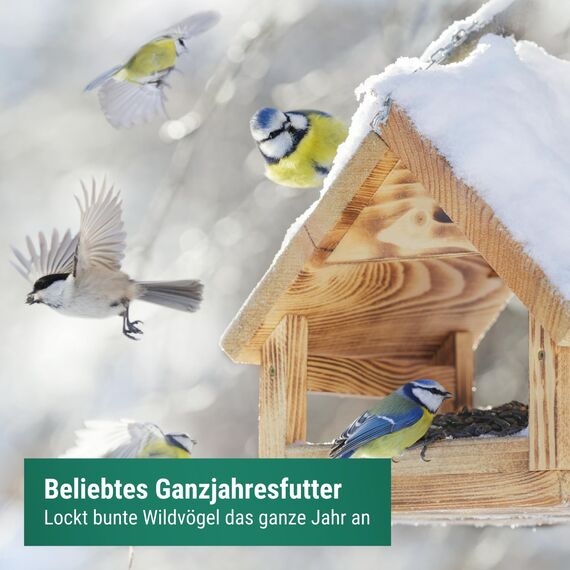 Agrarzone Vogelfutter Wildvögel ganzjährig 20kg - Wildvogelfutter 20 kg mit hochwertigem Körner-Mix für alle Vögel - Fettfutter mit Sonnenblumenkerne - Staubfrei & ohne Zusatzstoffe
