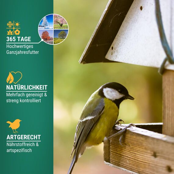 Agrarzone Vogelfutter Wildvögel ganzjährig 20kg - Wildvogelfutter 20 kg mit hochwertigem Körner-Mix für alle Vögel - Fettfutter mit Sonnenblumenkerne - Staubfrei & ohne Zusatzstoffe