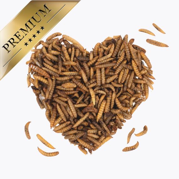Lyra Pet® | 15 kg Soldatenfliegenlarven getrocknet | Black Soldier Fly | Hermetia Illucens | Wie Mehlwürmer | Reich an Kalzium & Proteinen | Energiereiches Futter für Vögel, Fische, Nager & Reptilien