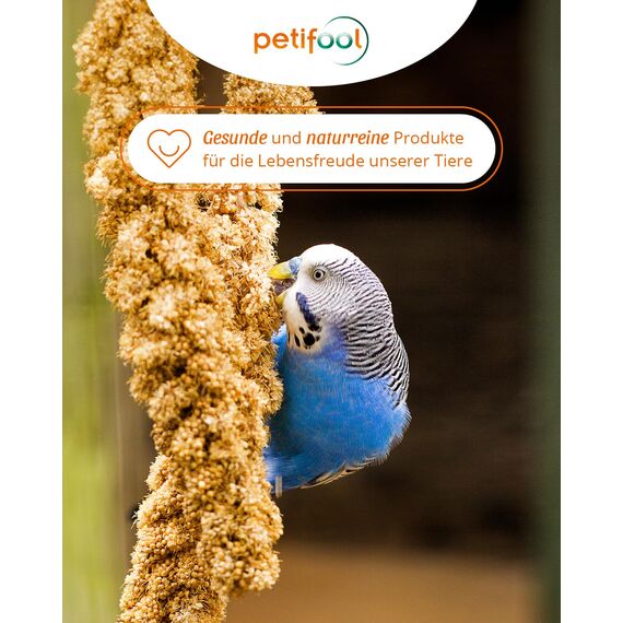 petifool Kolbenhirse gelb 500g - Einzelfuttermittel für alle Ziervögel - Vogelfutter - 100% Natur