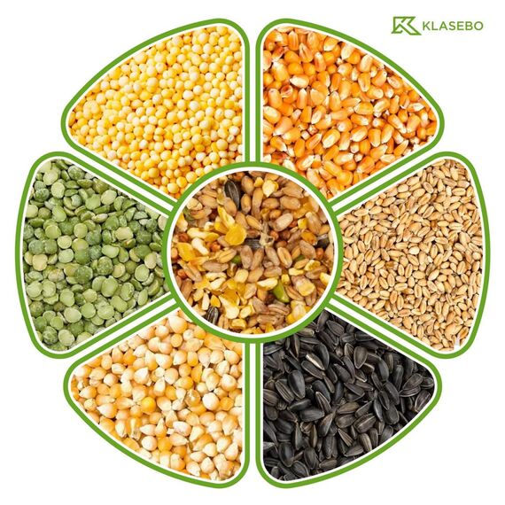KLASEBO Streufutter 10 kg, Vogelfutter Wildvogelfutter 4 Jahreszeiten Premium Mischung