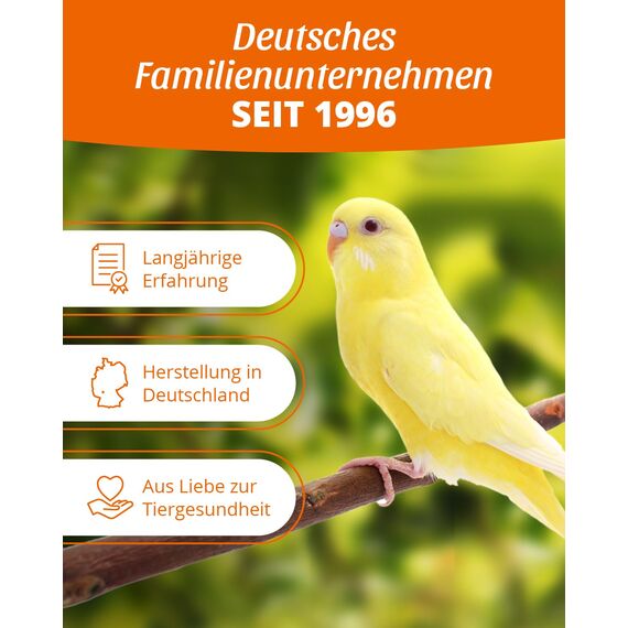 petifool Kolbenhirse gelb 500g - Einzelfuttermittel für alle Ziervögel - Vogelfutter - 100% Natur (Packung mit 2)